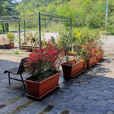 Ristorante Miramonti Hotel